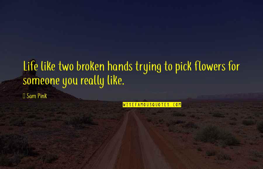 Sad Depressed Quotes By Sam Pink: Life like two broken hands trying to pick