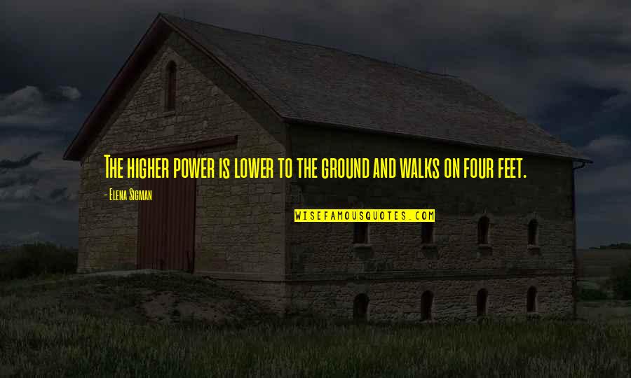 Sad Facts About Love Quotes By Elena Sigman: The higher power is lower to the ground