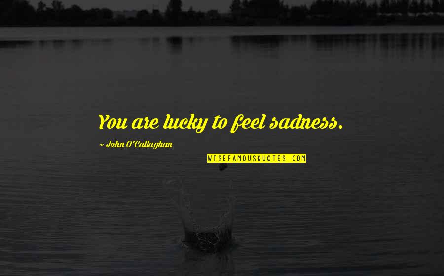 Sad Feelings Quotes By John O'Callaghan: You are lucky to feel sadness.