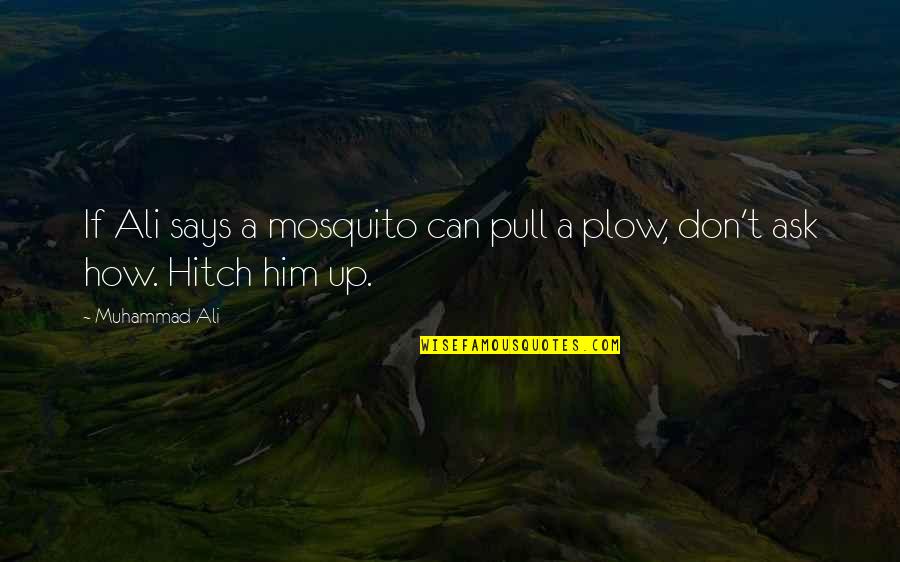 Sad Gud N8 Quotes By Muhammad Ali: If Ali says a mosquito can pull a