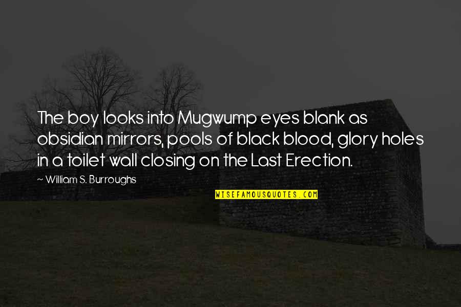 Sad Lemony Snicket Quotes By William S. Burroughs: The boy looks into Mugwump eyes blank as