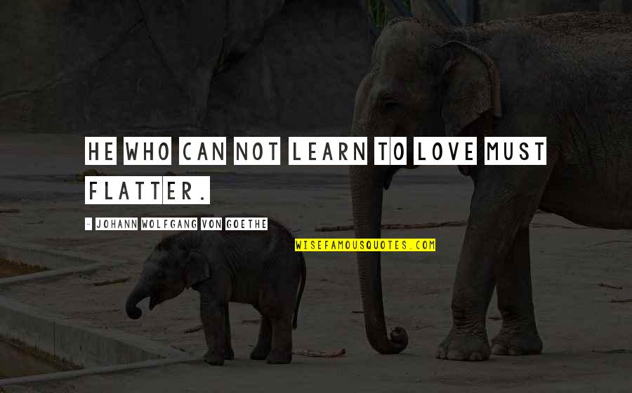 Sad Life Experience Quotes By Johann Wolfgang Von Goethe: He who can not learn to love must