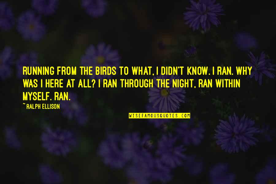 Sad Love Trust Quotes By Ralph Ellison: Running from the birds to what, I didn't