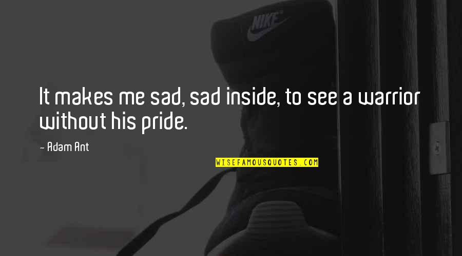 Sad Me Quotes By Adam Ant: It makes me sad, sad inside, to see