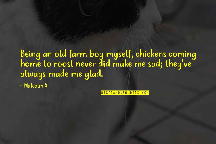 Sad Me Quotes By Malcolm X: Being an old farm boy myself, chickens coming Sad Me Quotes By Malcolm X: Being an old farm boy myself, chickens coming