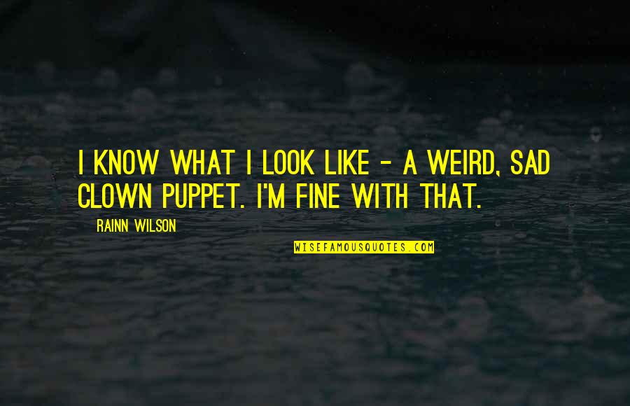 Sad Puppet Quotes By Rainn Wilson: I know what I look like - a