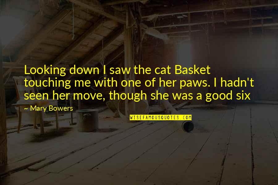 Sad Quietness Quotes By Mary Bowers: Looking down I saw the cat Basket touching Sad Quietness Quotes By Mary Bowers: Looking down I saw the cat Basket touching