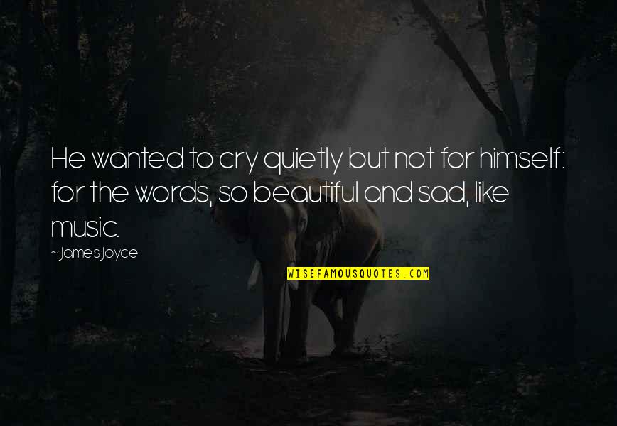 Sad Words Quotes By James Joyce: He wanted to cry quietly but not for Sad Words Quotes By James Joyce: He wanted to cry quietly but not for