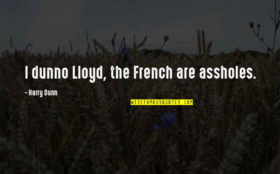 Sad Yaad Quotes By Harry Dunn: I dunno Lloyd, the French are assholes.