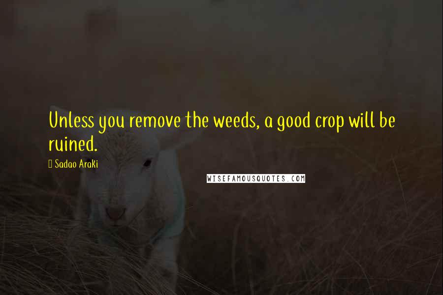 Sadao Araki quotes: Unless you remove the weeds, a good crop will be ruined.