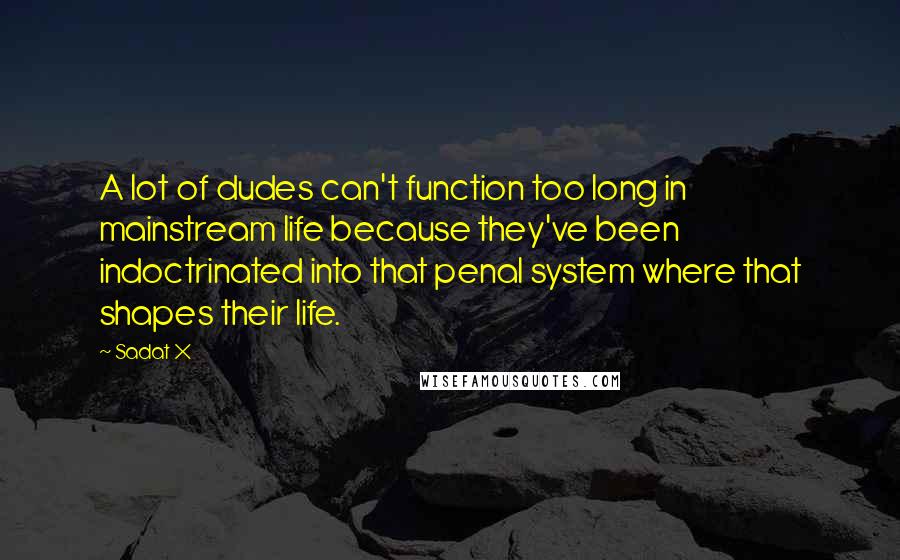 Sadat X quotes: A lot of dudes can't function too long in mainstream life because they've been indoctrinated into that penal system where that shapes their life.