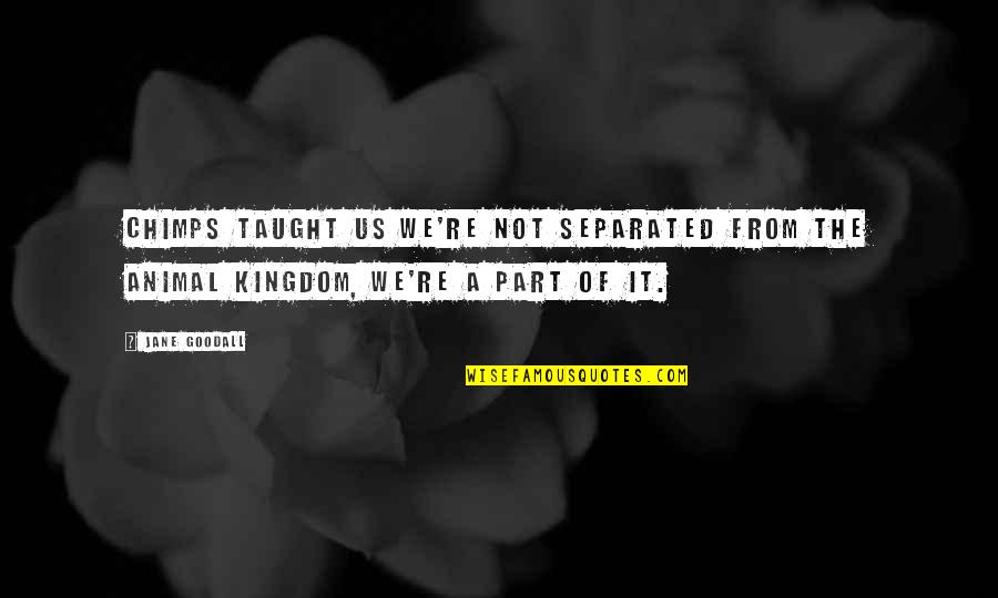 Saddening Syn Quotes By Jane Goodall: Chimps taught us we're not separated from the