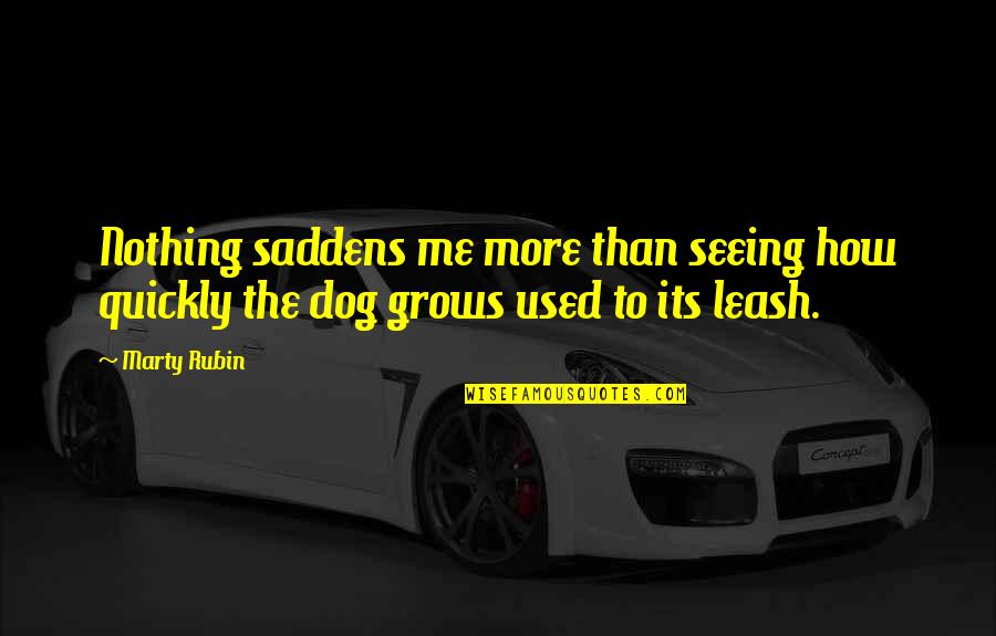 Saddens Me Quotes By Marty Rubin: Nothing saddens me more than seeing how quickly