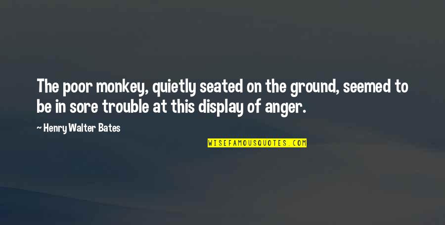 Saddens My Heart Quotes By Henry Walter Bates: The poor monkey, quietly seated on the ground,