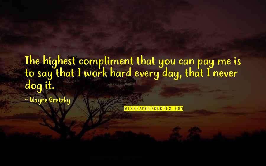 Sadece Sen Quotes By Wayne Gretzky: The highest compliment that you can pay me