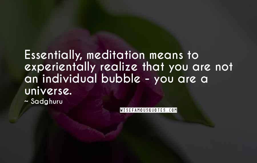 Sadghuru quotes: Essentially, meditation means to experientally realize that you are not an individual bubble - you are a universe.