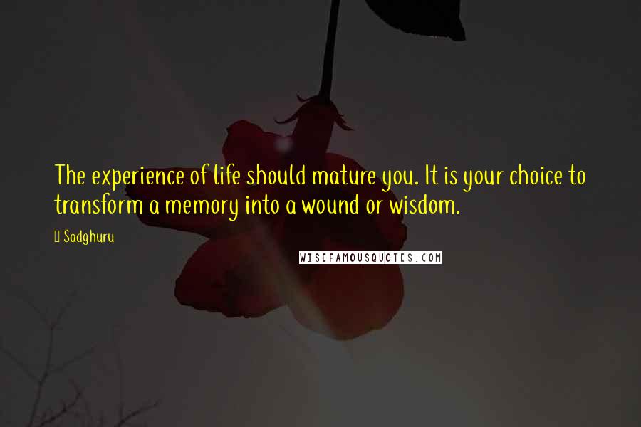 Sadghuru quotes: The experience of life should mature you. It is your choice to transform a memory into a wound or wisdom.