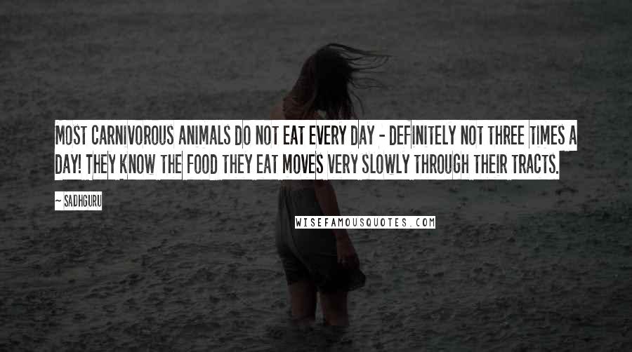 Sadhguru quotes: Most carnivorous animals do not eat every day - definitely not three times a day! They know the food they eat moves very slowly through their tracts.