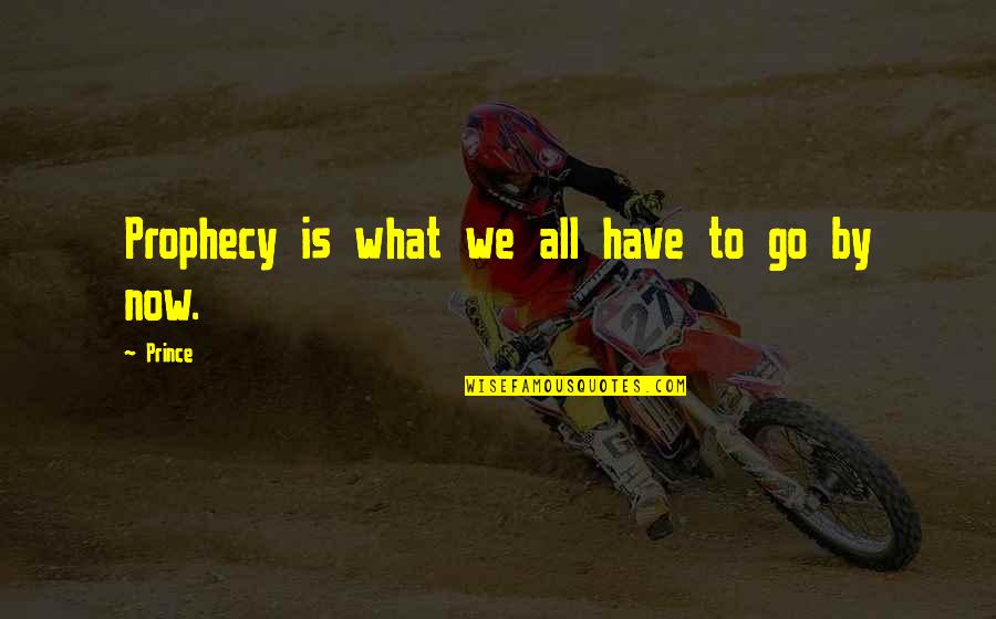 Sadhwani Shankar Quotes By Prince: Prophecy is what we all have to go