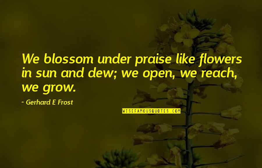 Sadiqua Chandler Quotes By Gerhard E Frost: We blossom under praise like flowers in sun