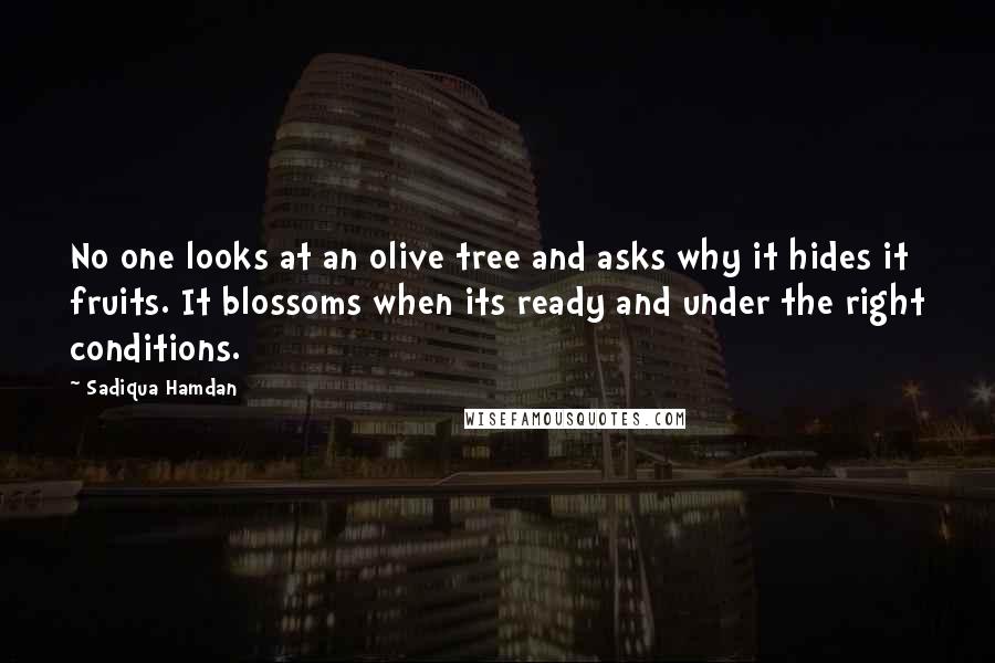 Sadiqua Hamdan quotes: No one looks at an olive tree and asks why it hides it fruits. It blossoms when its ready and under the right conditions.