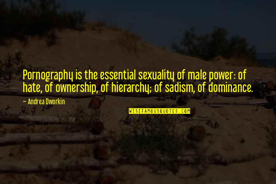 Sadism Quotes By Andrea Dworkin: Pornography is the essential sexuality of male power: