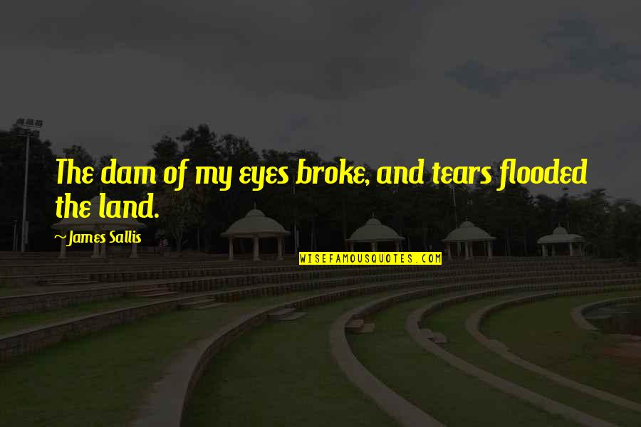 Sadness In Your Eyes Quotes By James Sallis: The dam of my eyes broke, and tears