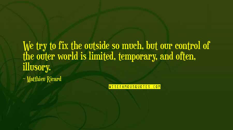 Sadness Is My Life Quotes By Matthieu Ricard: We try to fix the outside so much, Sadness Is My Life Quotes By Matthieu Ricard: We try to fix the outside so much,