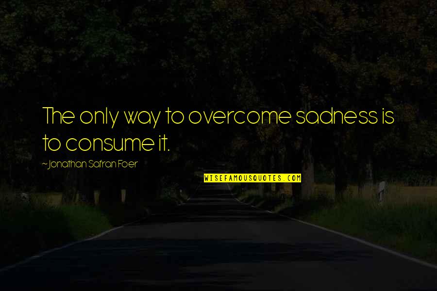 Sadness Overcome Quotes By Jonathan Safran Foer: The only way to overcome sadness is to
