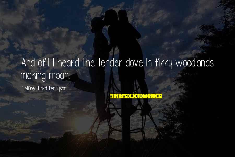 Sadness Shakespeare Quotes By Alfred Lord Tennyson: And oft I heard the tender dove In Sadness Shakespeare Quotes By Alfred Lord Tennyson: And oft I heard the tender dove In