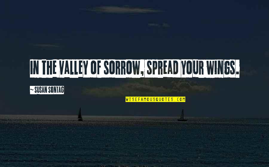 Sadness Sorrow Quotes By Susan Sontag: In the valley of sorrow, spread your wings. Sadness Sorrow Quotes By Susan Sontag: In the valley of sorrow, spread your wings.