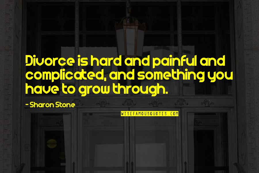 Sadness Strikes Quotes By Sharon Stone: Divorce is hard and painful and complicated, and