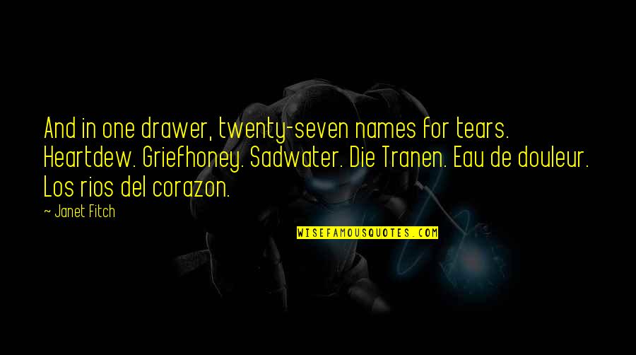 Sadwater Quotes By Janet Fitch: And in one drawer, twenty-seven names for tears.