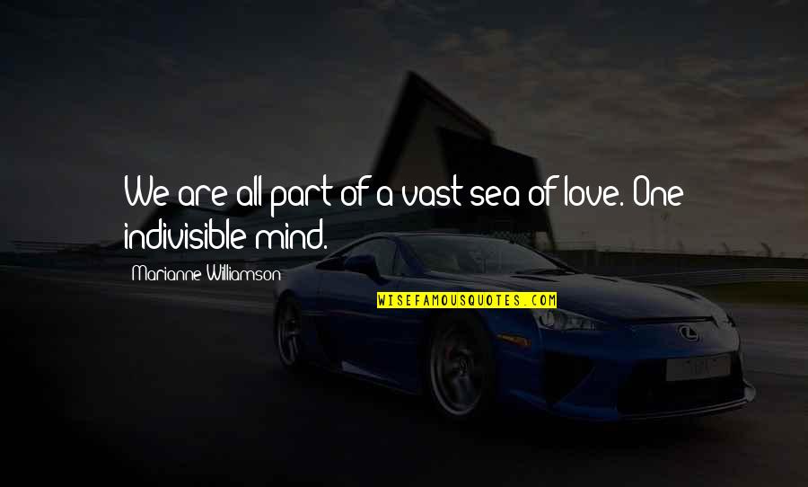 Saelee Meuy Quotes By Marianne Williamson: We are all part of a vast sea