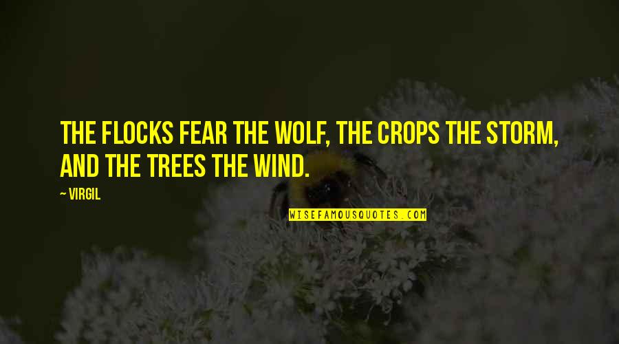 Saelee Oh Quotes By Virgil: The flocks fear the wolf, the crops the