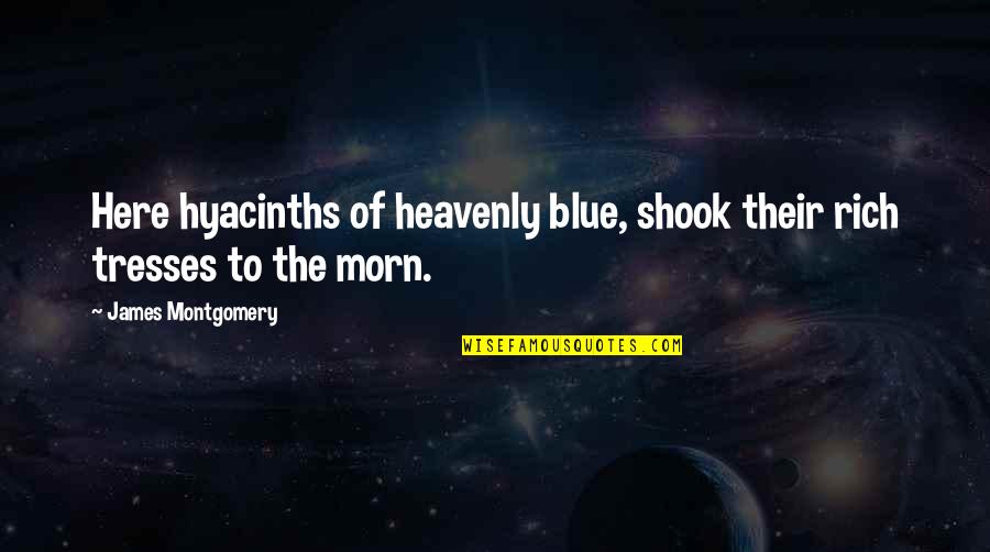Saet Quotes By James Montgomery: Here hyacinths of heavenly blue, shook their rich Saet Quotes By James Montgomery: Here hyacinths of heavenly blue, shook their rich