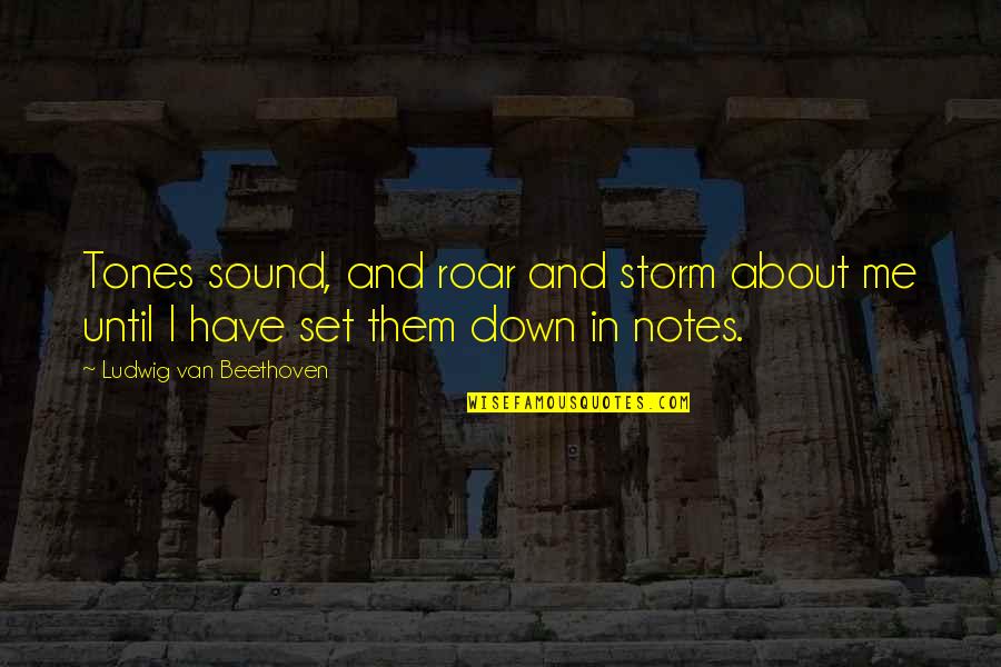 Safado Spanish Quotes By Ludwig Van Beethoven: Tones sound, and roar and storm about me Safado Spanish Quotes By Ludwig Van Beethoven: Tones sound, and roar and storm about me
