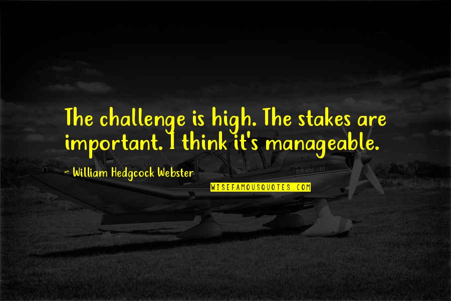 Safanarion Quotes By William Hedgcock Webster: The challenge is high. The stakes are important.