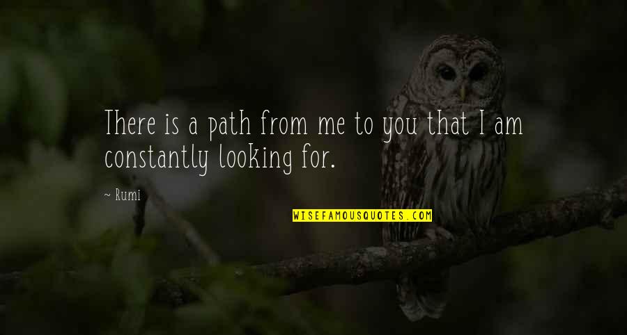 Safari Lodge Quotes By Rumi: There is a path from me to you