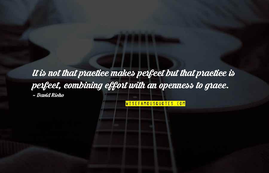 Safarian Ronald Quotes By David Richo: It is not that practice makes perfect but Safarian Ronald Quotes By David Richo: It is not that practice makes perfect but