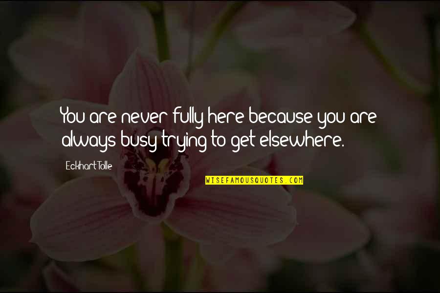 Safe As Houses Eric Walters Quotes By Eckhart Tolle: You are never fully here because you are