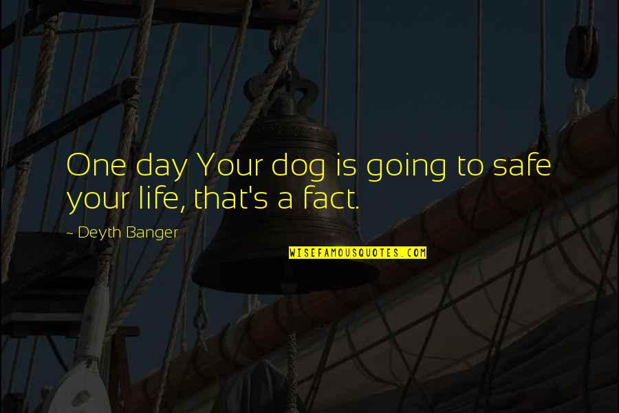 Safe Quotes By Deyth Banger: One day Your dog is going to safe