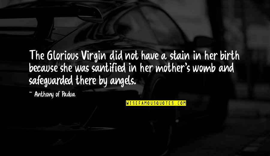 Safeguarded Quotes By Anthony Of Padua: The Glorious Virgin did not have a stain Safeguarded Quotes By Anthony Of Padua: The Glorious Virgin did not have a stain