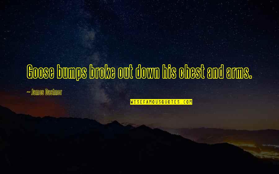 Safety Isnt Expensive Its Priceless Quote Quotes By James Dashner: Goose bumps broke out down his chest and Safety Isnt Expensive Its Priceless Quote Quotes By James Dashner: Goose bumps broke out down his chest and