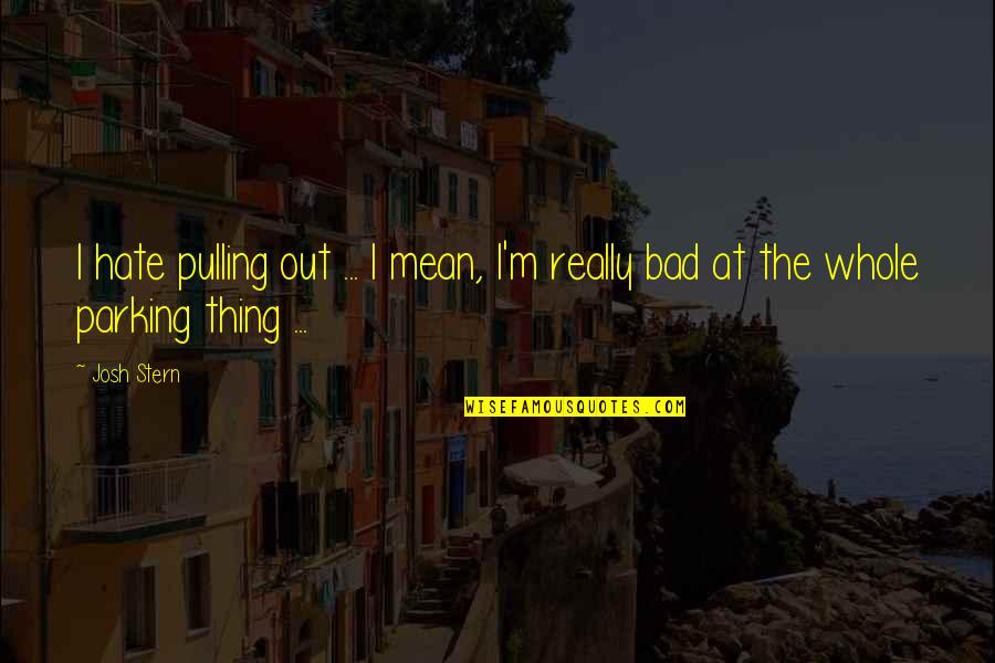 Saffer Plumbing Quotes By Josh Stern: I hate pulling out ... I mean, I'm