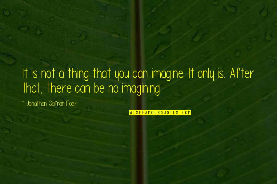 Safran Foer Quotes By Jonathan Safran Foer: It is not a thing that you can Safran Foer Quotes By Jonathan Safran Foer: It is not a thing that you can