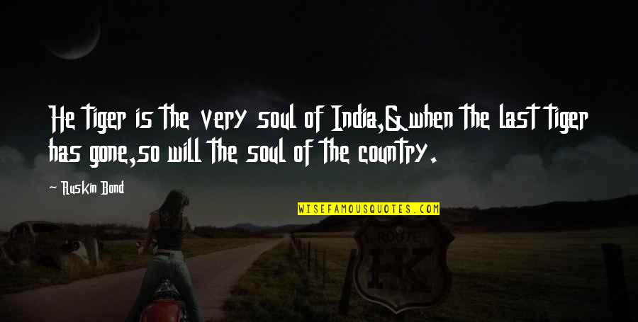 Sage Agastya Quotes By Ruskin Bond: He tiger is the very soul of India,&when Sage Agastya Quotes By Ruskin Bond: He tiger is the very soul of India,&when
