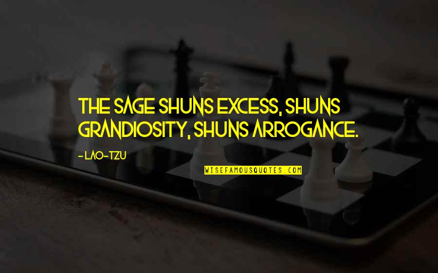 Sage Quotes By Lao-Tzu: The sage shuns excess, shuns grandiosity, shuns arrogance.