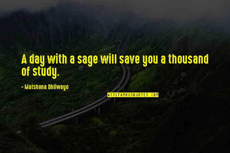 Sage Quotes By Matshona Dhliwayo: A day with a sage will save you