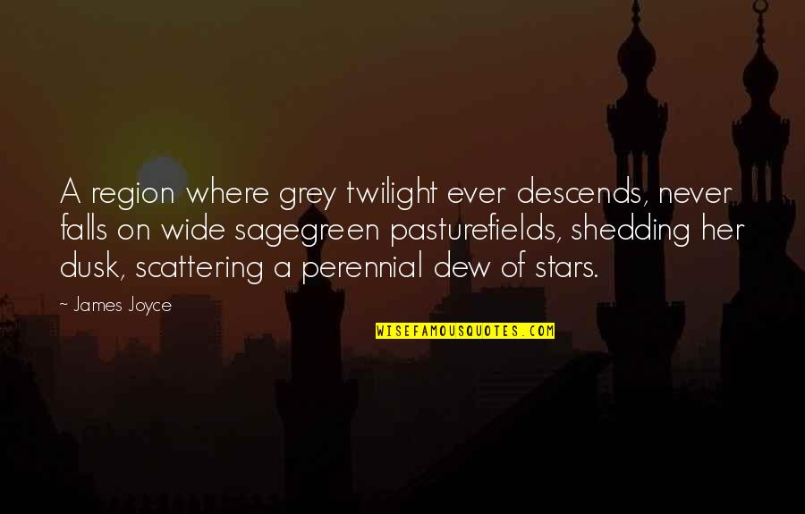 Sagegreen Quotes By James Joyce: A region where grey twilight ever descends, never
